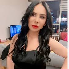 Şule